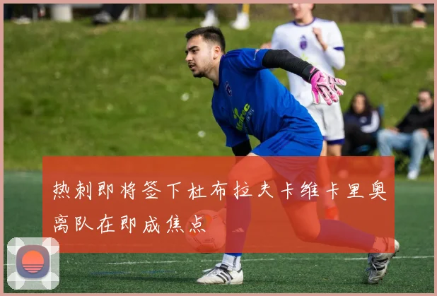 热刺即将签下杜布拉夫卡维卡里奥离队在即成焦点